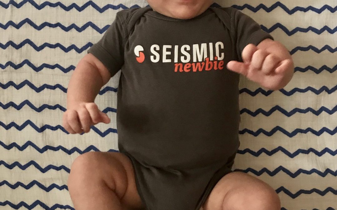 Little Seismicer